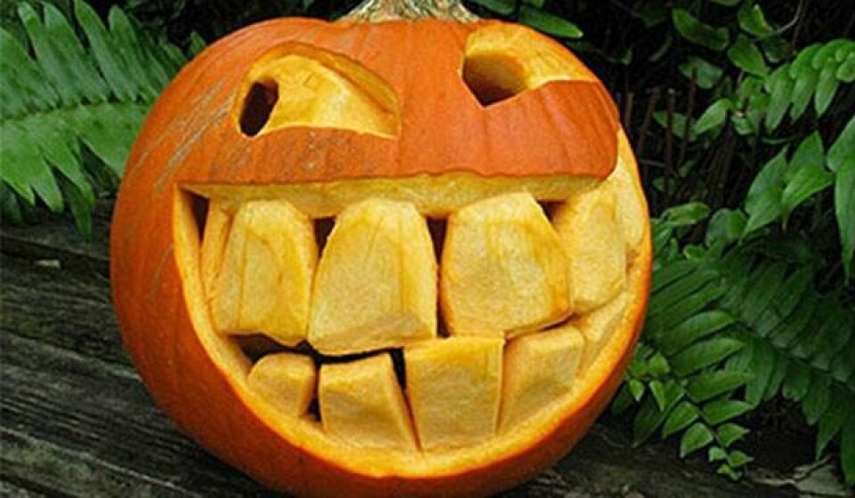 Skær et græskar til halloween