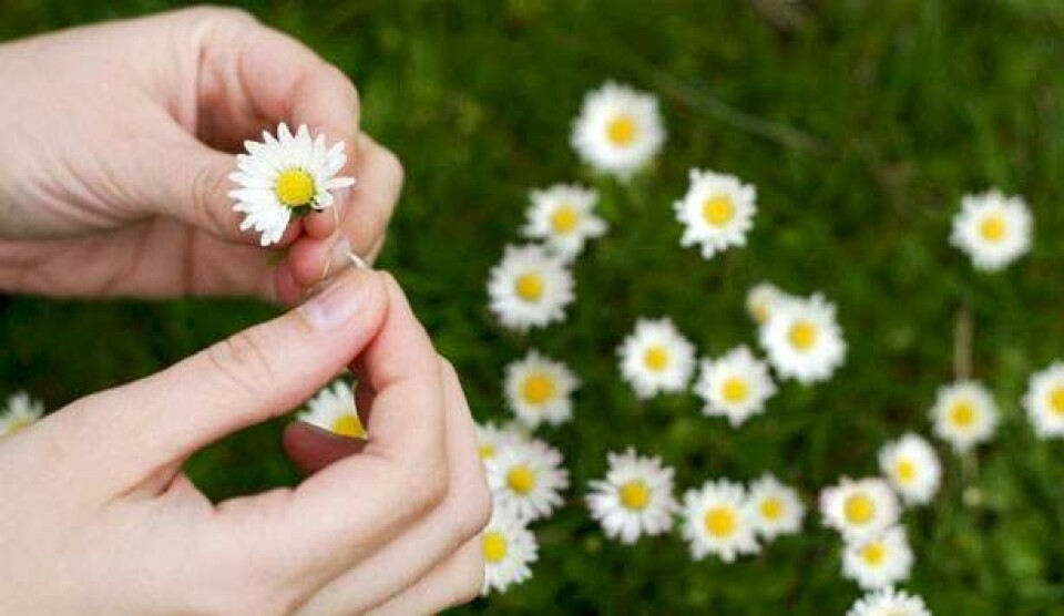 Er du god til at beslutte dig?