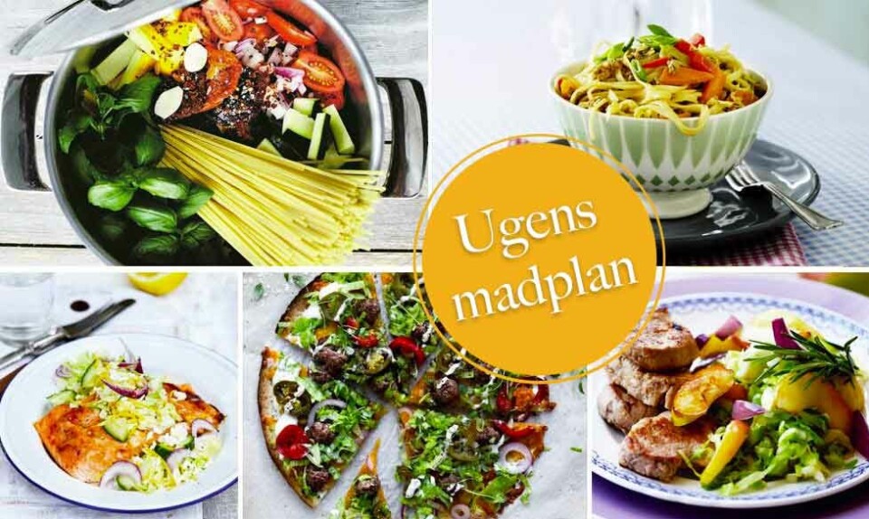 madplan med nem aftensmad