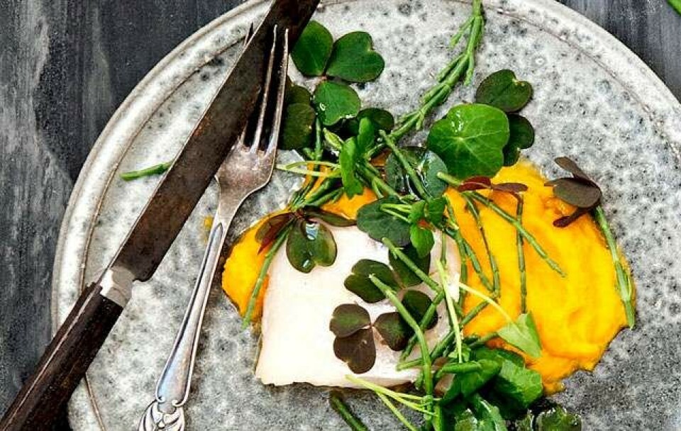 Opskrift på fisk med gulerodsmos, skovsyre og salturt