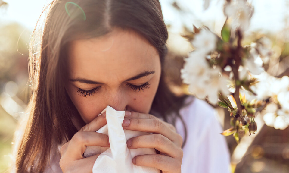 Kend din allergi: Få styr på alle symptomerne