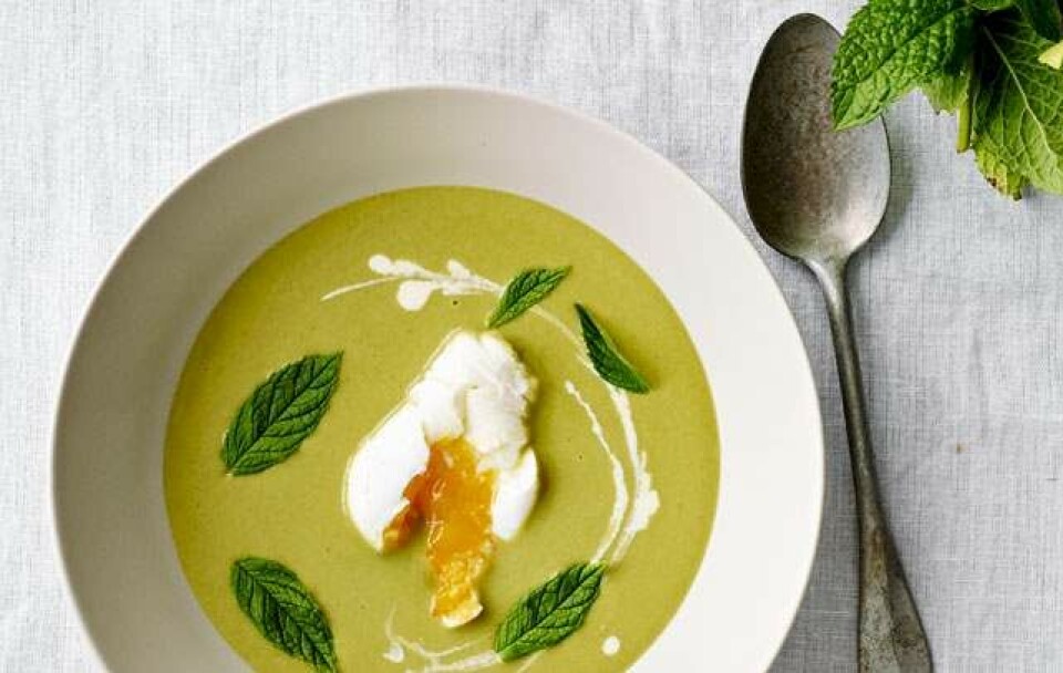 Suppe med asparges