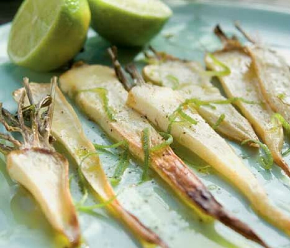 BAGTE PERSILLERØDDER