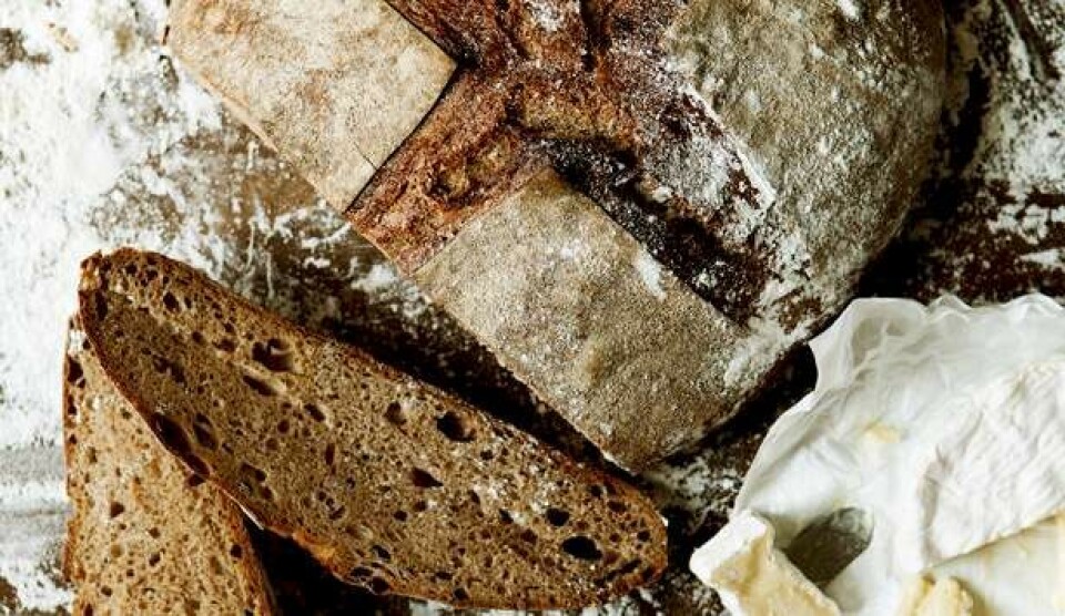 Opskrift på mørkt brød med øl, honning og rugmel