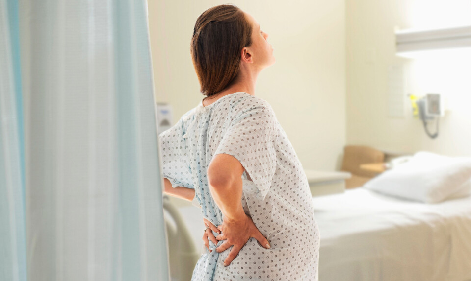 Gravid i uge 38