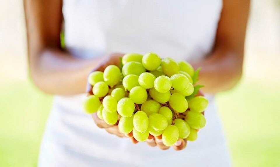 sunde grønne grøntsager