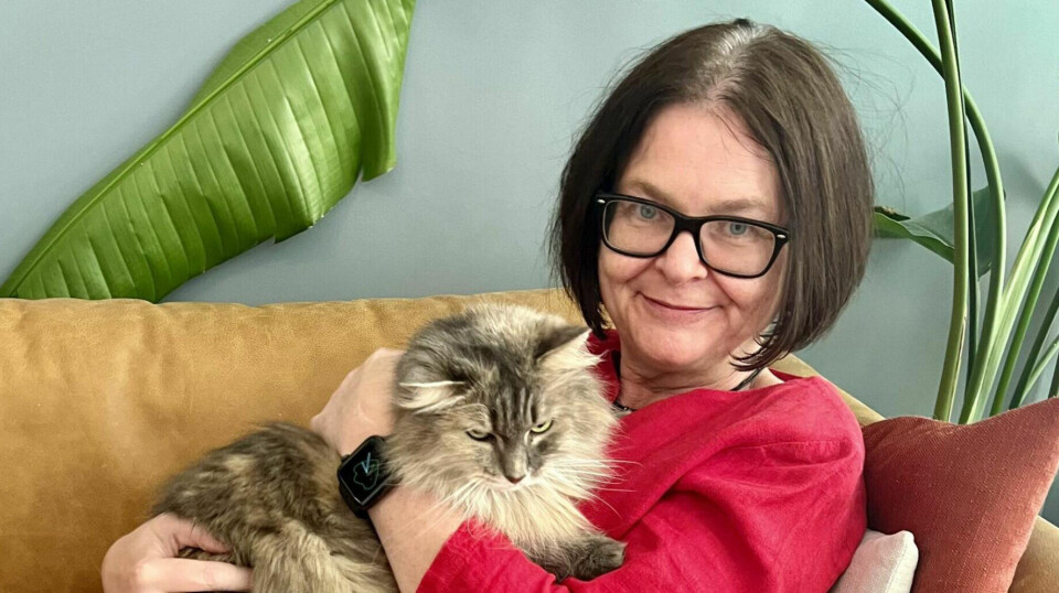 Elisabeth ignorerede advarselstegnene – men så fik hun en nyhed, hun måtte tage alvorligt