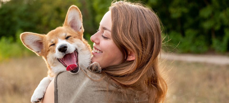 Glem alt om Fido: Her er de mest populære hundenavne i Danmark