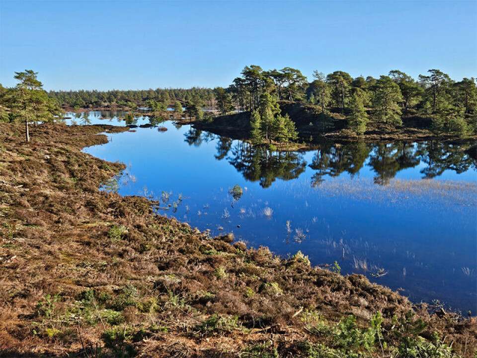 Her er 3 smukke vandreture i Trekantområdet - se her