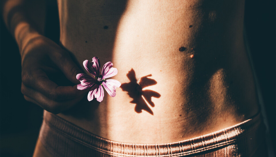 Kvinde med en blomst foran sin mave