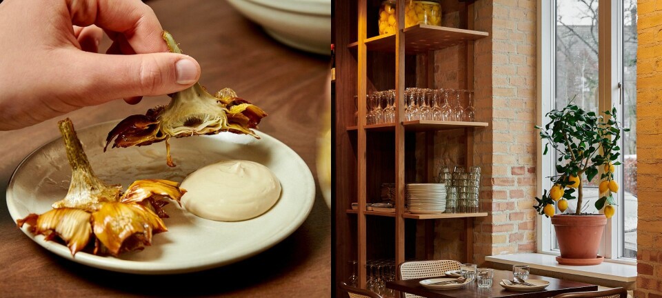 Guide: Her er de bedste restauranter på Nørrebro
