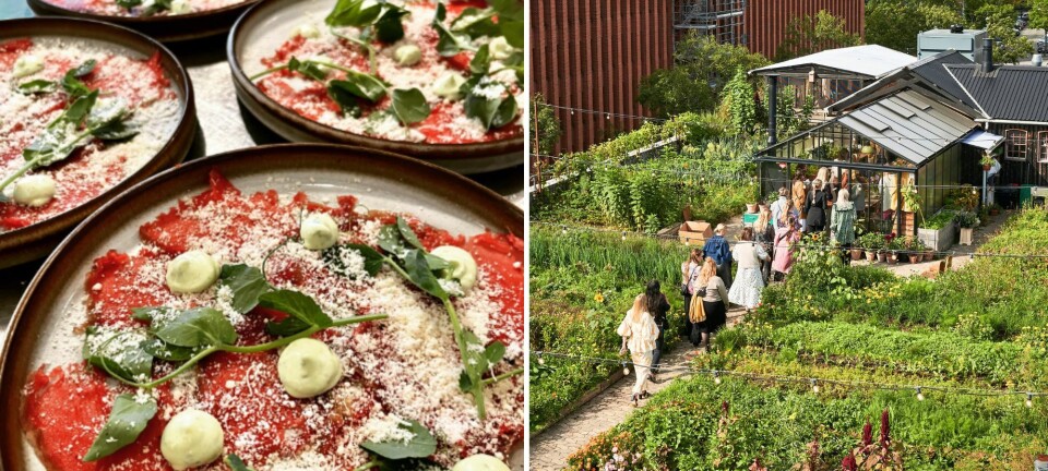 Guide: Her er de bedste restauranter på Østerbro