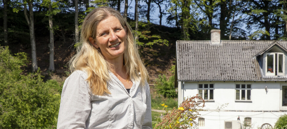 Anne mistede sin mand til demens - i dag har hun fundet en særlig måde at bearbejde sin sorg