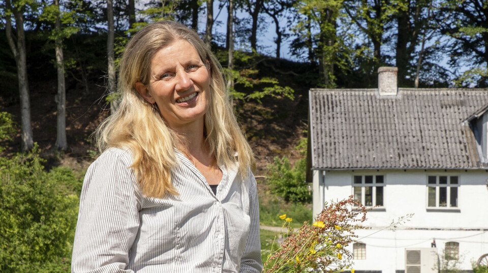 Anne mistede sin mand til demens - i dag har hun fundet en særlig måde at bearbejde sin sorg