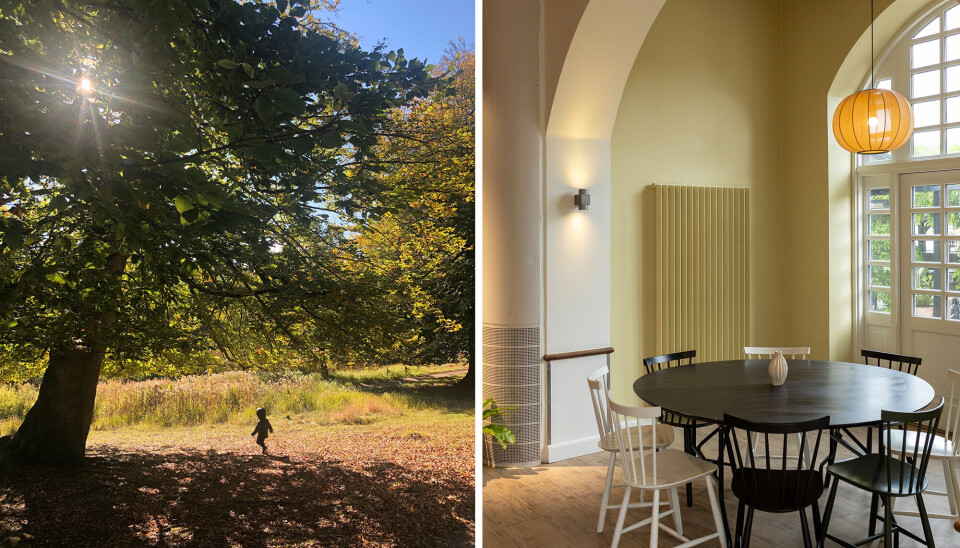 Kulturanbefalinger efterår