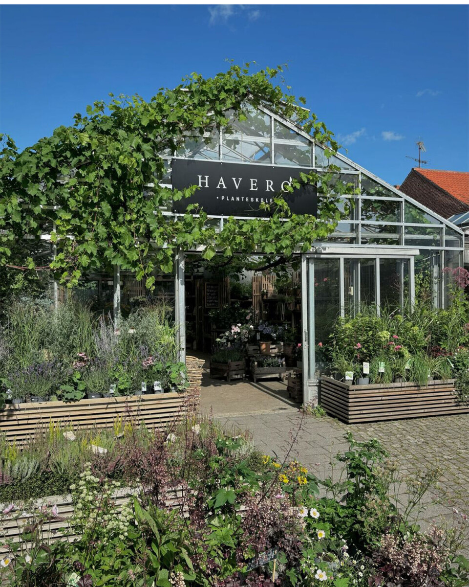 Redaktionen anbefaler: Dette bør du opleve i Storkøbenhavn dette efterår