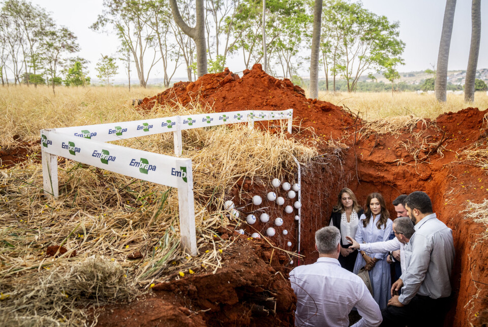 På savanneområdet Cerradoen besøgte hun det brasilianske landbrugsforskningsinstitut. Her kunne hun i et dybt hul se de dybe rødder fra græsset, der har tilpasset sig lange tørkeperioder på op til flere måneder af gangen.