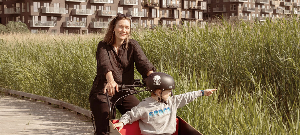 Christina flyttede fra København til Vesterhavet: 'Min søn fik den barndom, jeg havde haft, men vi forældre blev ulykkelige”