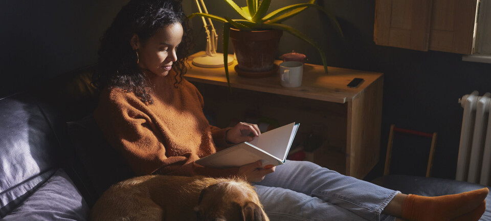 Kynisk-morsom selvhjælp, indisk slum og desperate teenagere: 3 bøger, der sætter ting i perspektiv