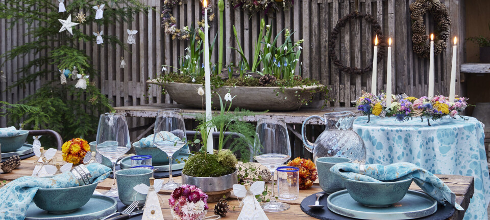 Jul i drivhuset: Lav de smukkeste dekorationer af tørrede blomster, kogler og svampe