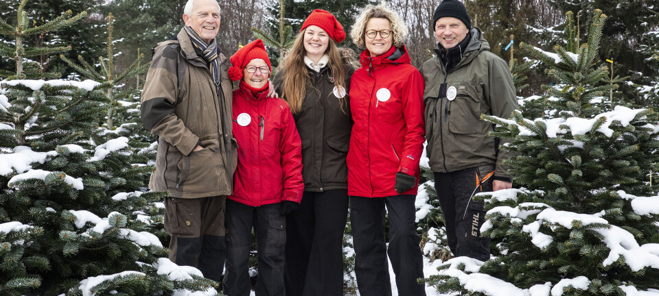 11 måneder om året arbejder familien hårdt for at nå i mål til juletiden: ”Det er det hele værd”