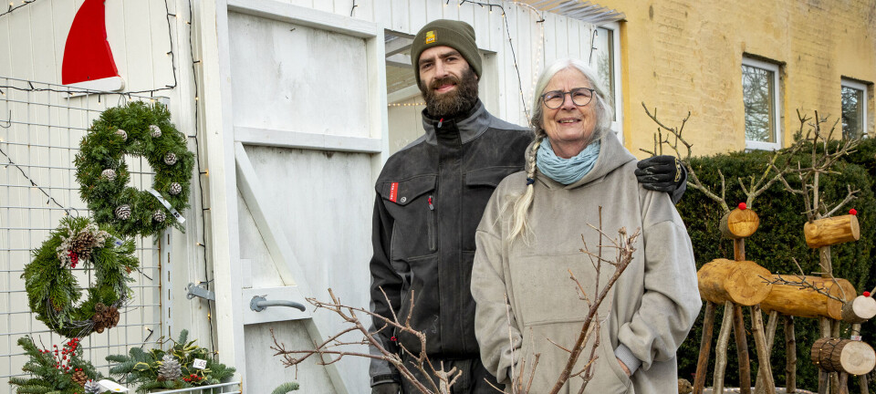 Mor og søn laver og sælger unikt julepynt sammen: ”Vi kommer tættere på hinanden”