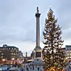 Julegranen på Trafalgar Square er en gave fra Norge til Storbritannien som tak for hjælpen under krigen.