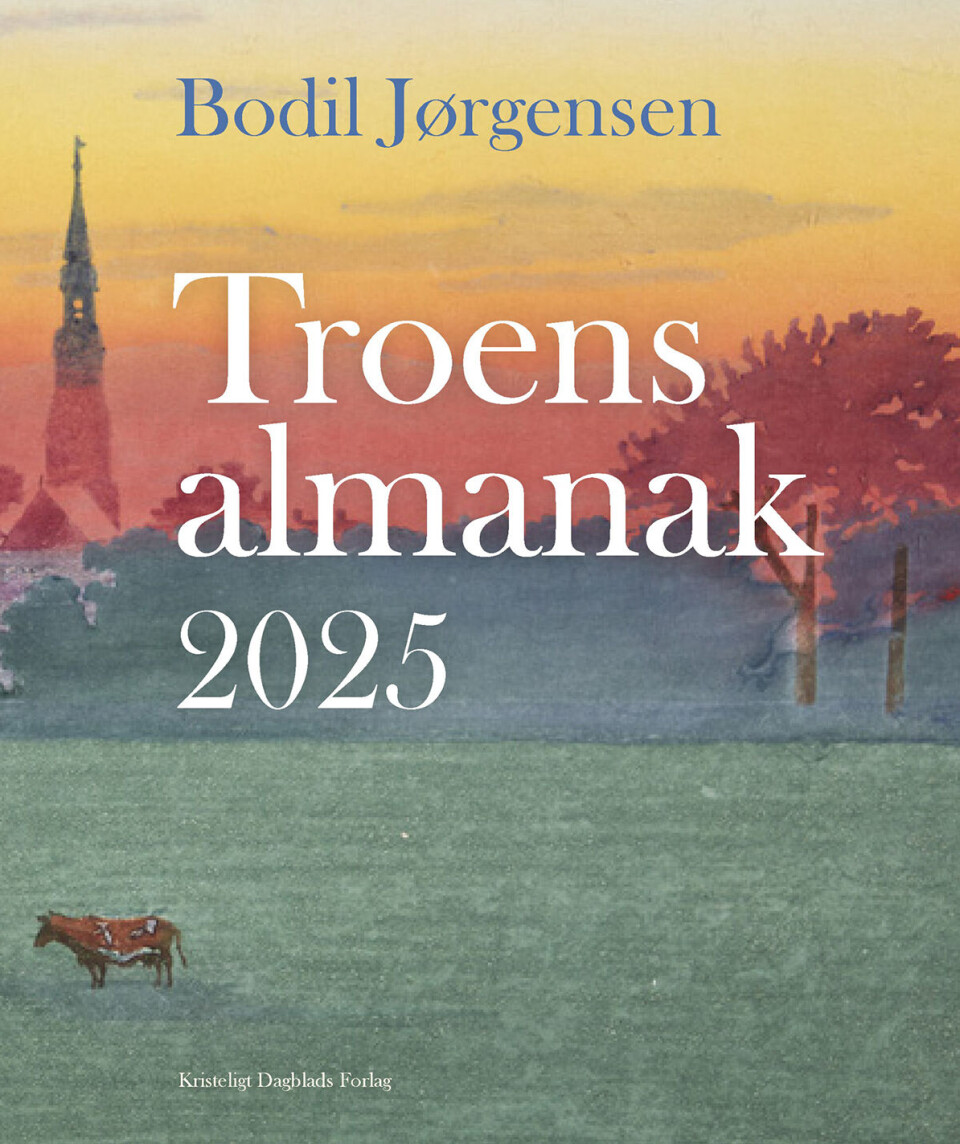 Billede 2 - Vil du give 2025 en ekstra dimension? Nu kan du få Bodil Jørgensens hjælp til det