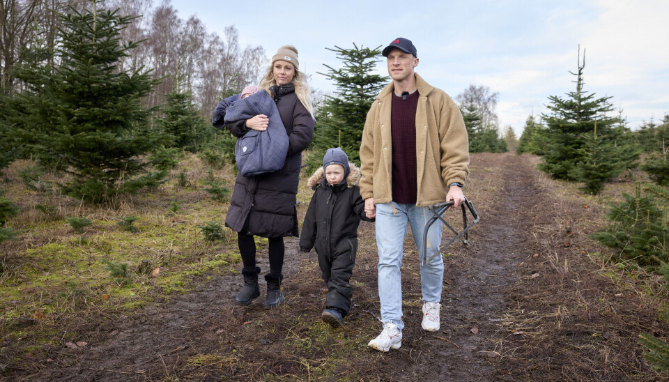 Philip May og Simone Hvenegaard fælder hvert år juletræet på Skovfogedstedet i Slagelse.