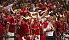ATHENS - AUGUST 29: Denmark supporters in the crowd show their disaproval of the refereeing decision in the women's handball gold medal match on August 29, 2004 during the Athens 2004 Summer Olympic Games at the Faliro Coastal Zone Olympic Complex Sports Pavilion in Athens, Greece. (Photo by Jonathan Ferrey/Getty Images)