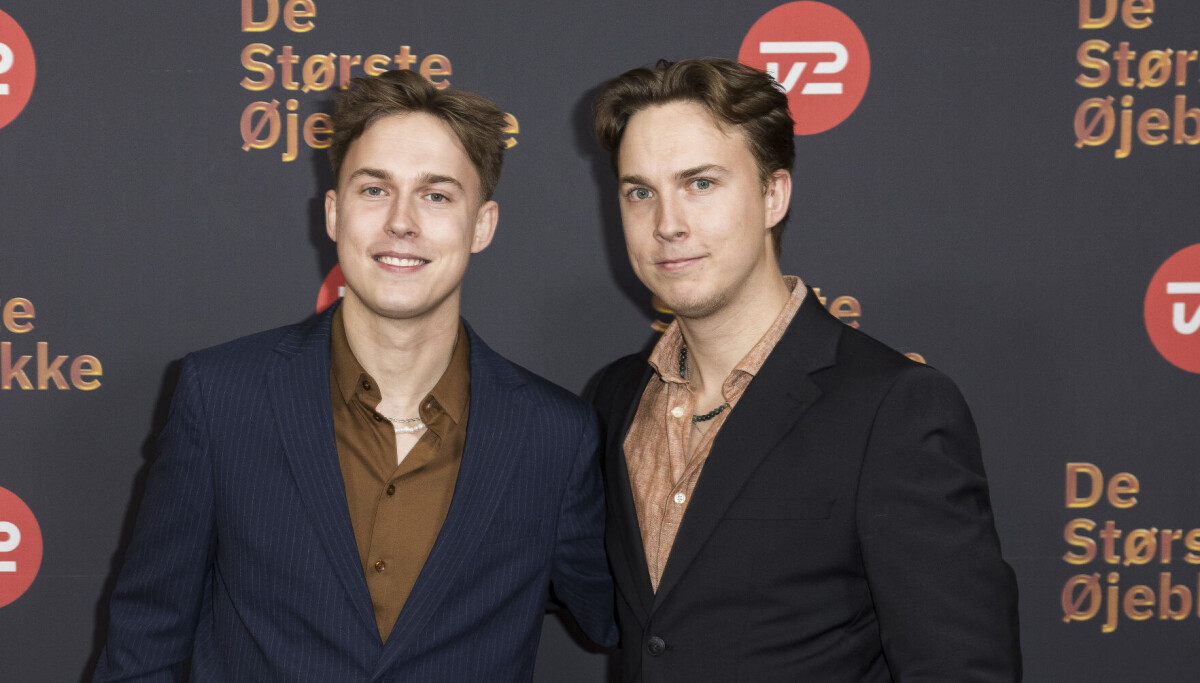 Emil og Mikkel Trier er blevet ejere af en ø i Sverige