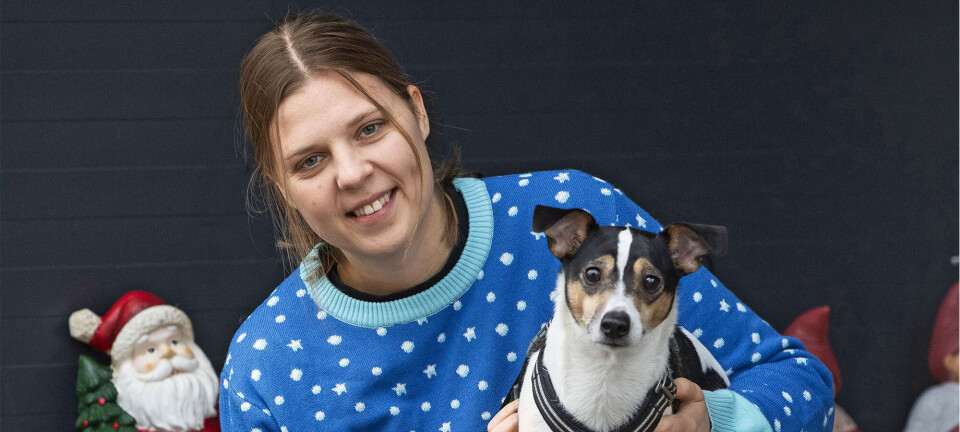 Festlig jul på dyreinternatet: ”Dyrenes største ønske er et nyt hjem”