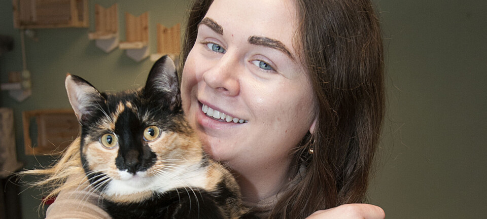 Var det noget med en kaffe og en kat? Så skal du forbi kattecaféen