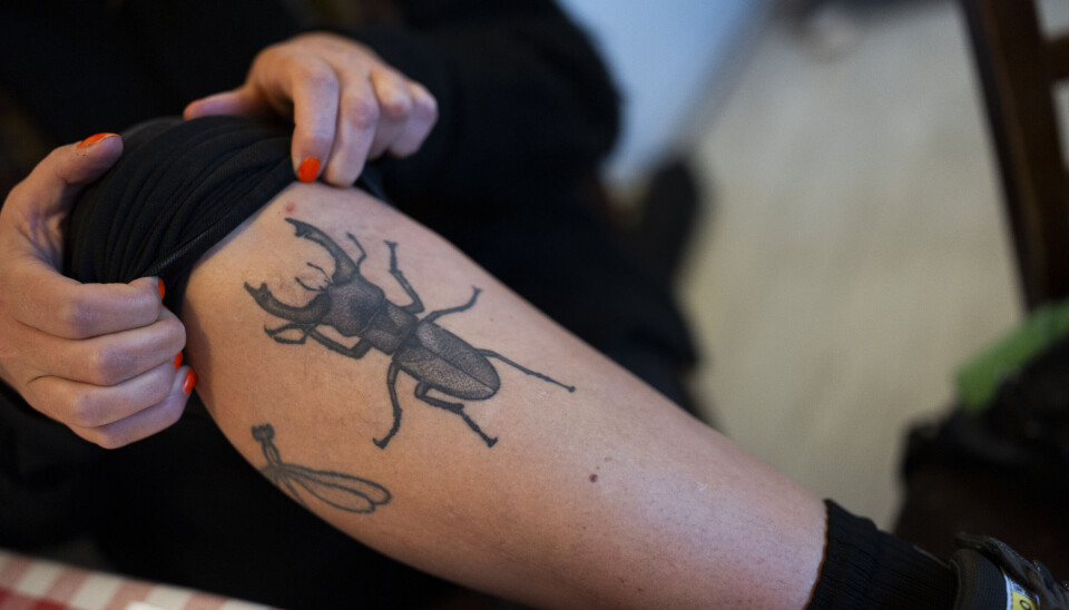 Efter at have set en eghjort i Tyskland, fik Vicky tatoveret den imponerende bille på sit ben. – Det minder mig om, hvad naturen kan gøre for os, fortæller hun.