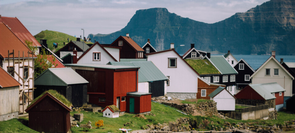 Rejseguide til Færøerne: 14 tips til det smukke ørige