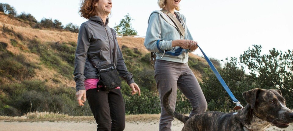 Sådan får du dit nytårsforsæt til at holde, ifølge to eksperter - og det er helt enkelt