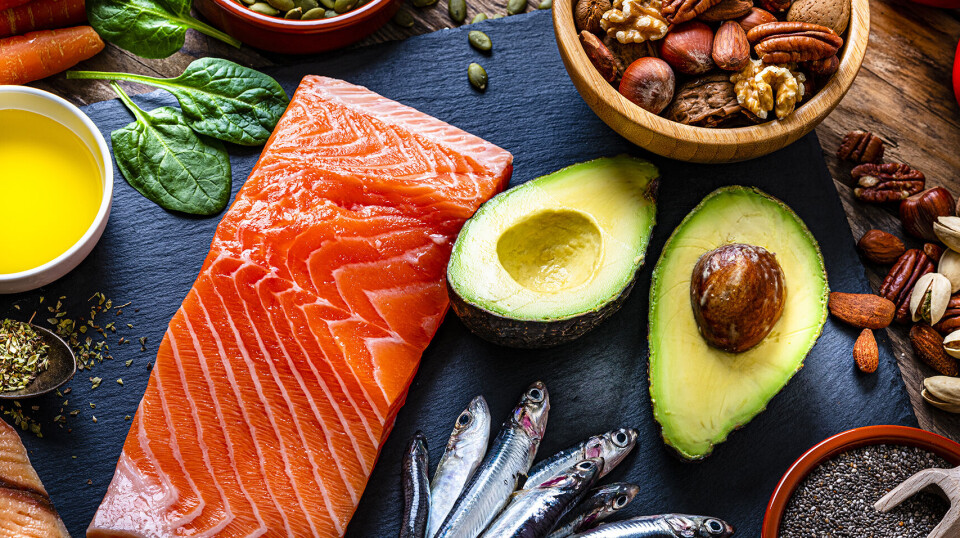 Er du fedtforvirret? Her er stor guide til fedtet