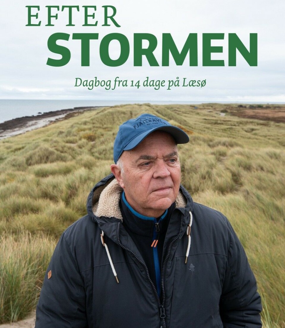 Efter Stormen - en bog af Jes Dorph-Petersen