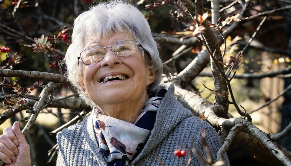 Anni Lineløv