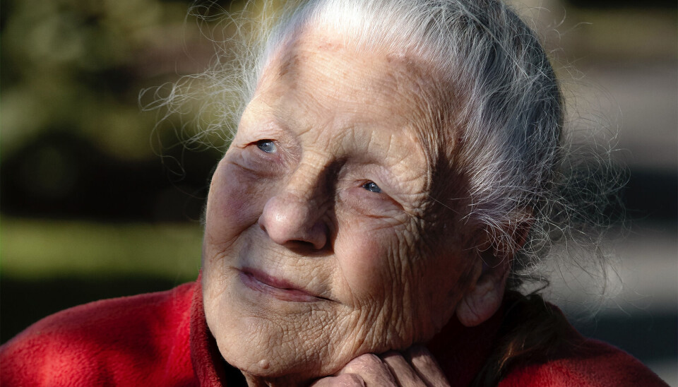 Kirsten Hyldahl
