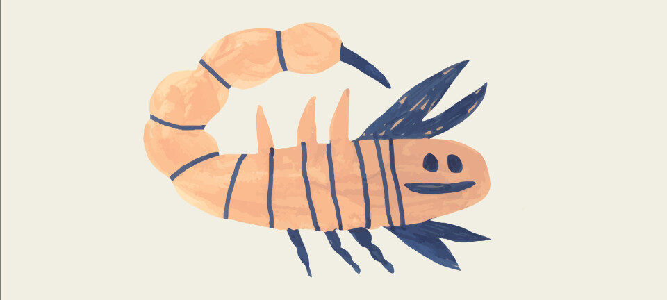 Årshoroskop 2025 for Skorpionen