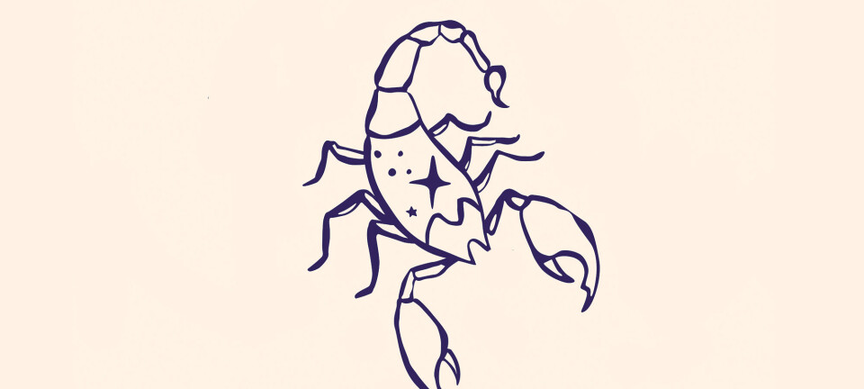 Stjernetegn: Sådan er Skorpionen