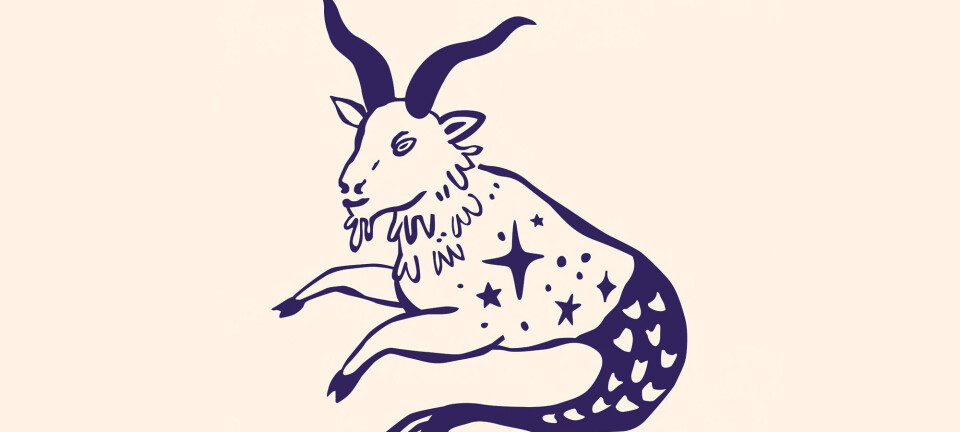 Stjernetegn: Sådan er Stenbukken