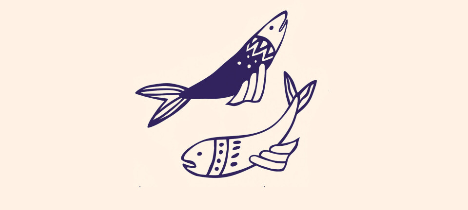 Stjernetegn: Sådan er Fisken