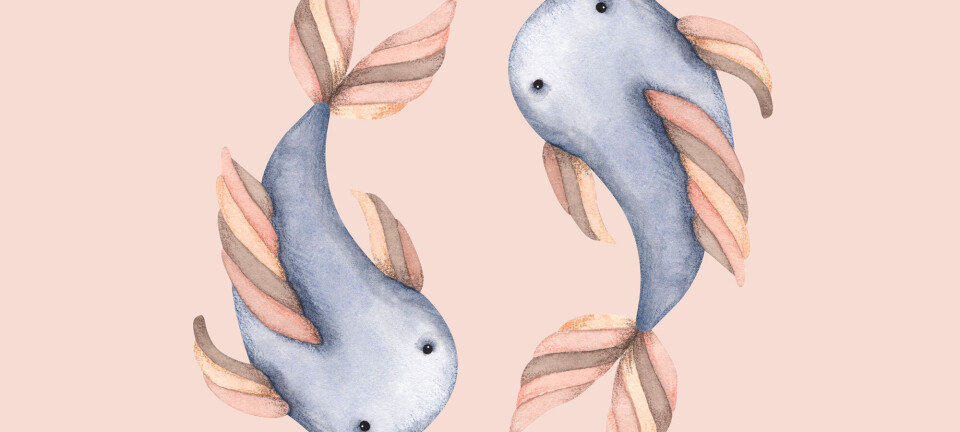 Sådan er fiskebarnet