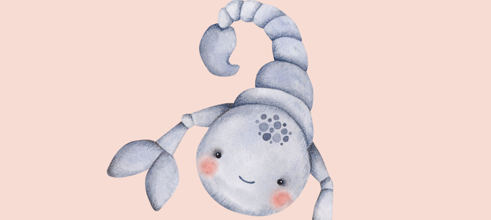 Sådan er skorpionbarnet