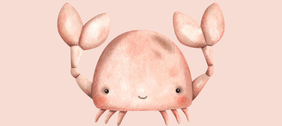 Sådan er krebsebarnet