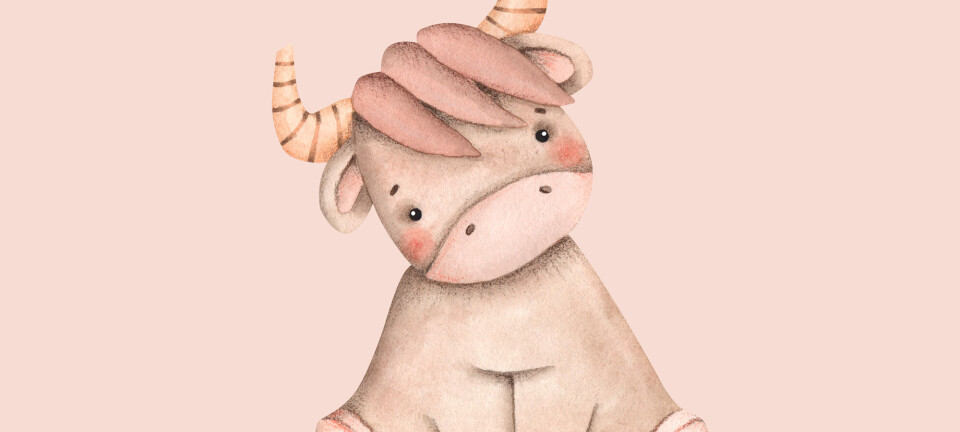 Sådan er tyrebarnet