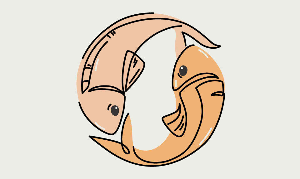 Det store sommerhoroskop: Fisken