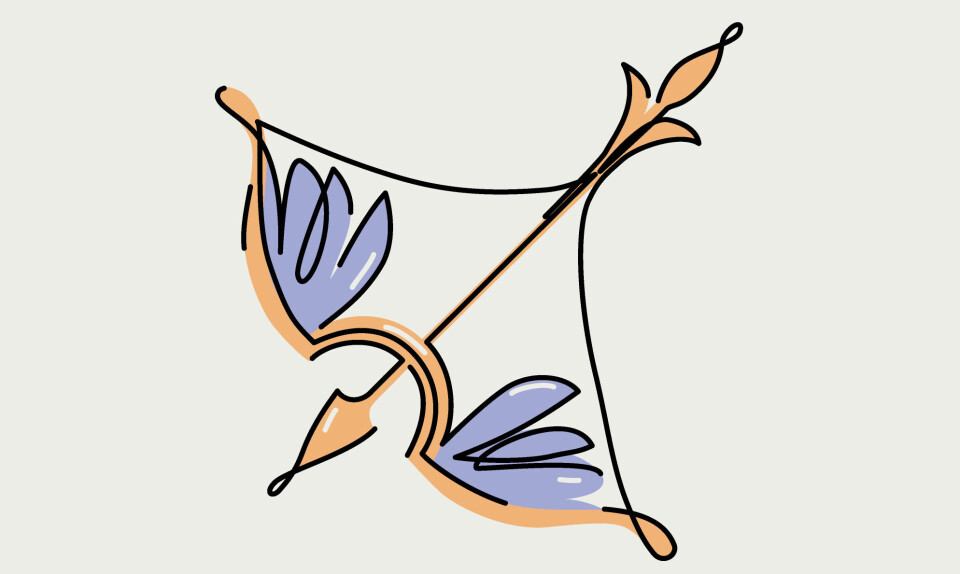 Det store sommerhoroskop: Skytten